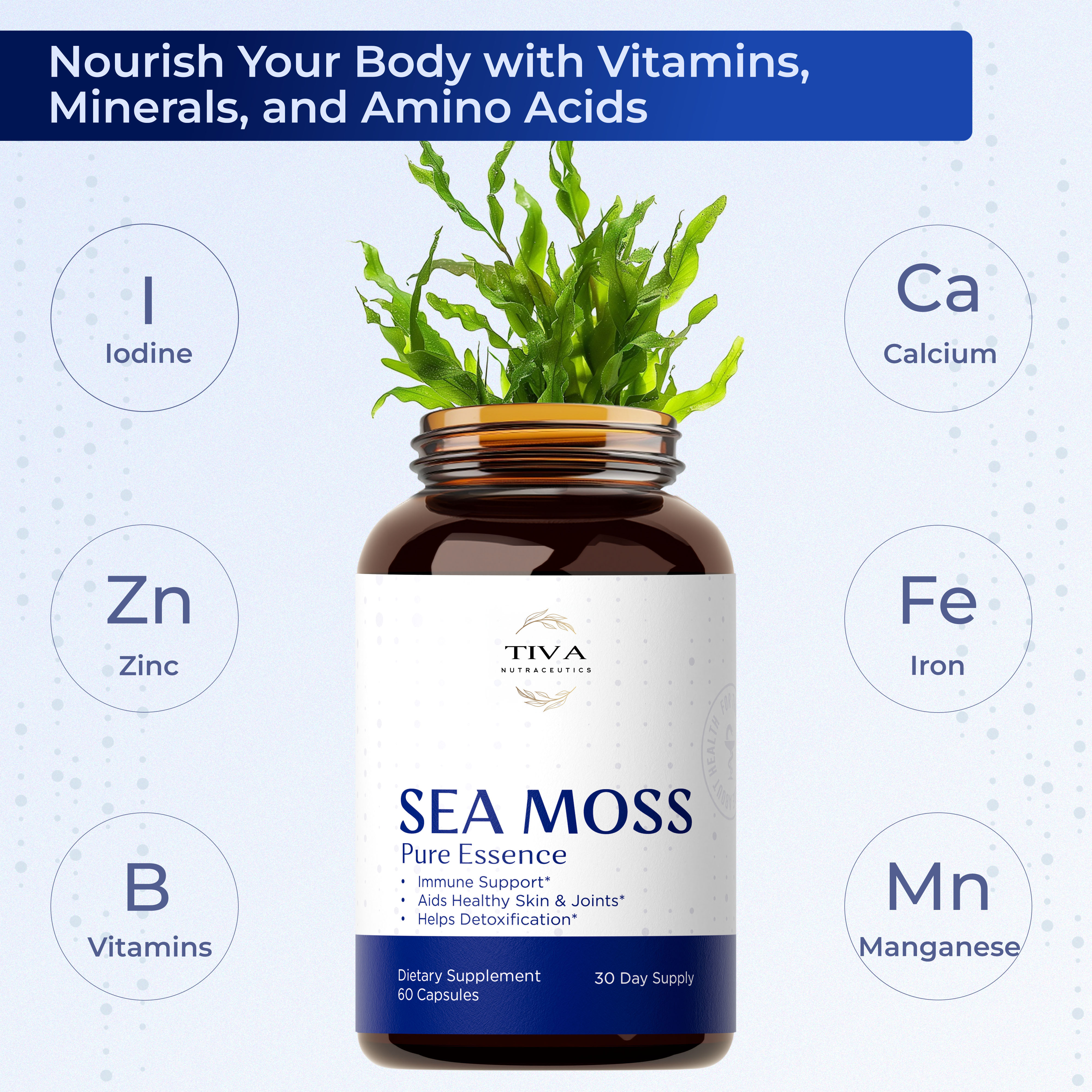 Sea Moss dietary supplement capsules natural health support
