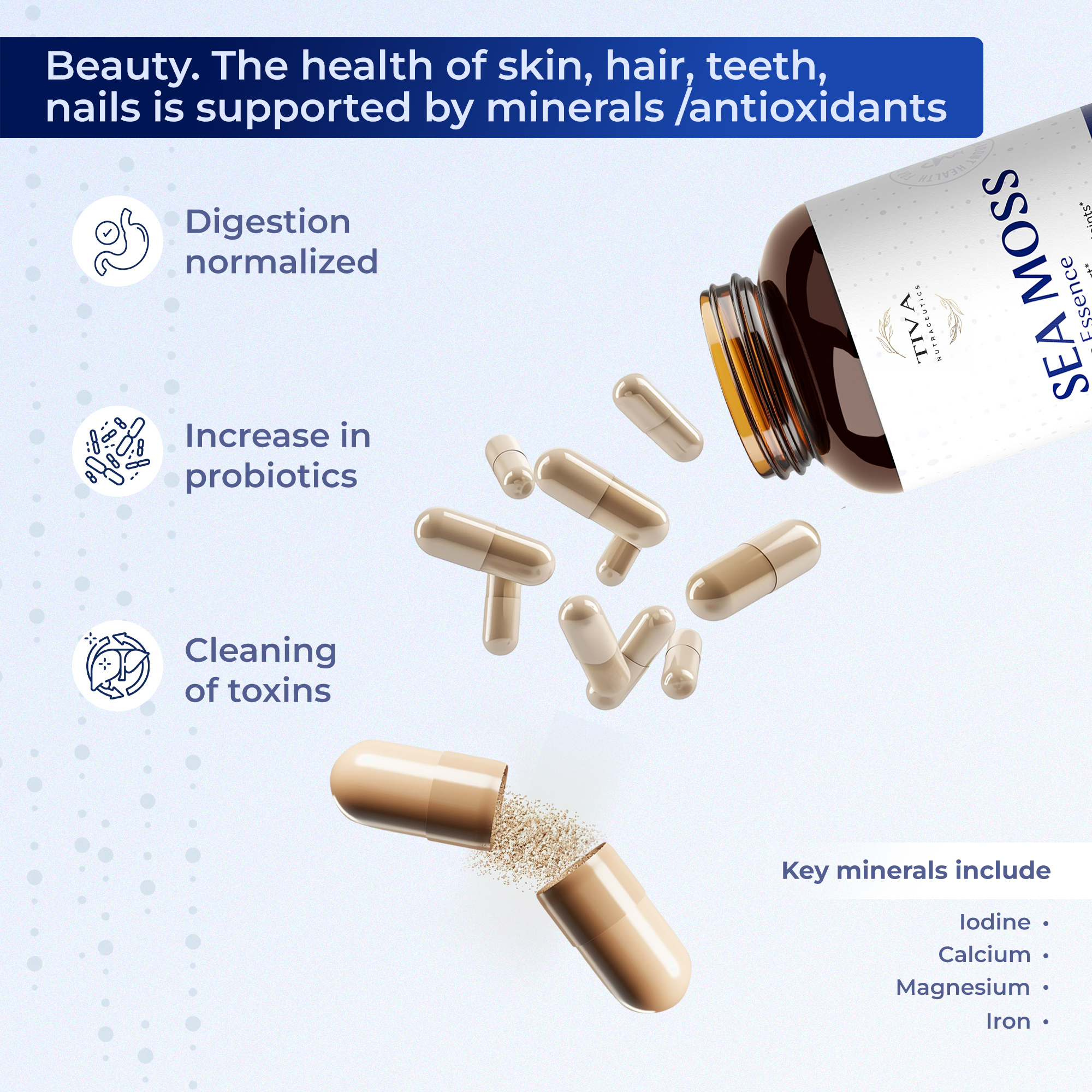 Sea Moss capsules daily wellness support supplement
