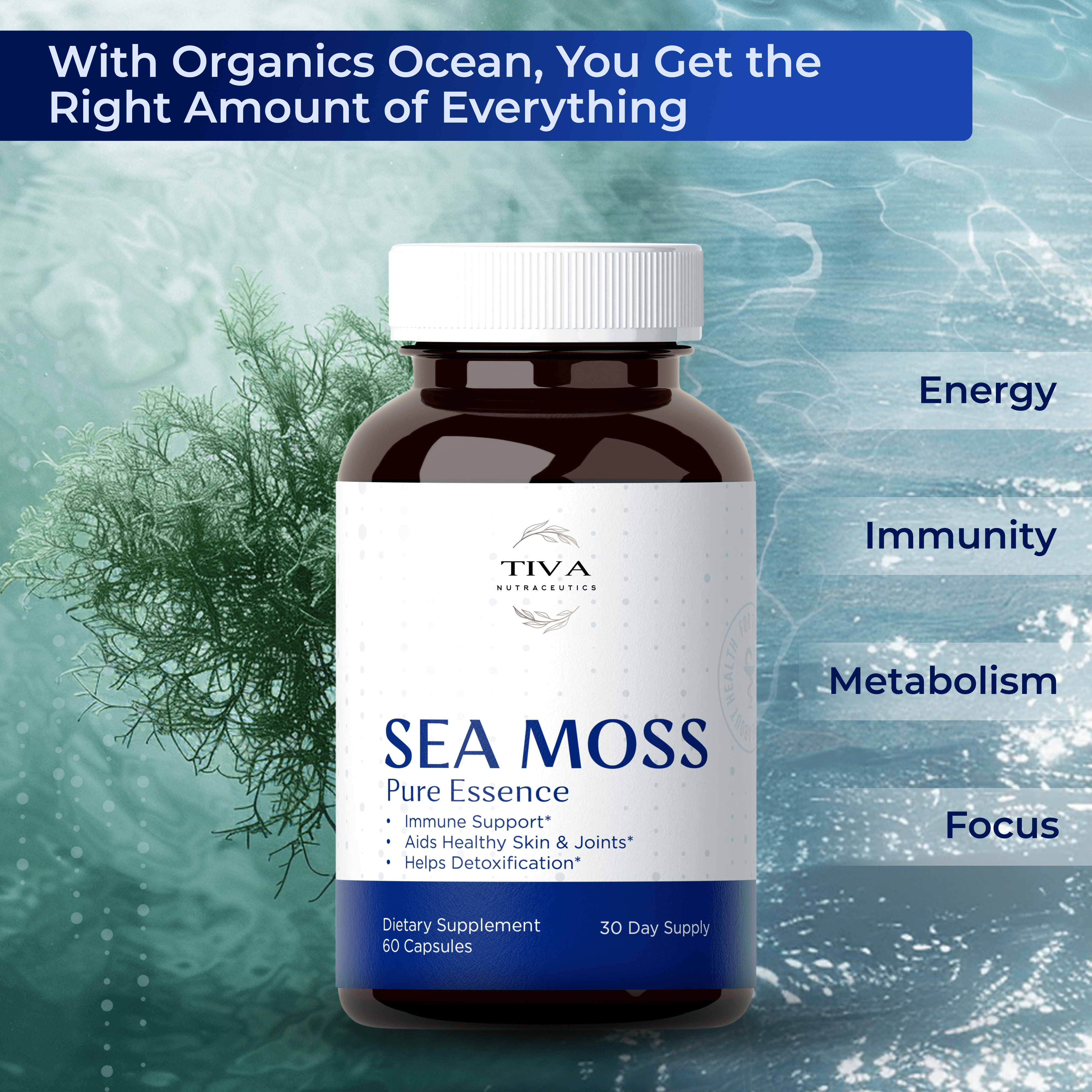Natural Sea Moss capsules for everyday health support
